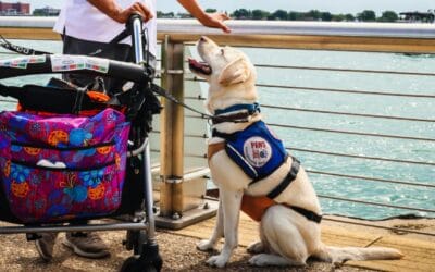 What Are the Tax Implications of having a Service Animal?